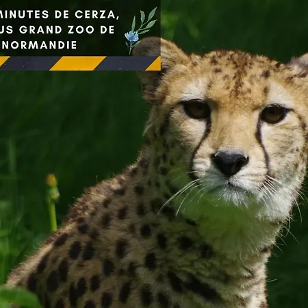 Indus - Jardin, Netflix Et Parking - Le Manoir Aux Pommes דירה