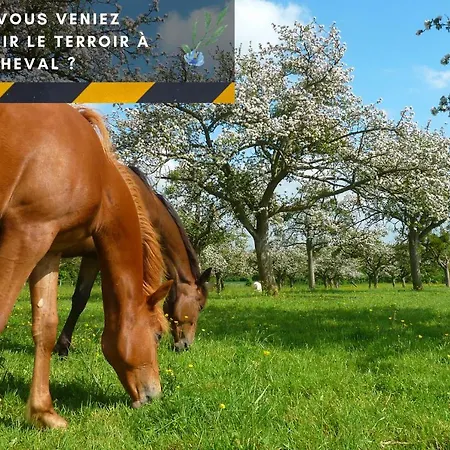 Apartment Indus - Jardin, Netflix Et Parking - Le Manoir Aux Pommes