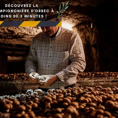 Indus - Jardin, Netflix Et Parking - Le Manoir Aux Pommes Apartment Orbec