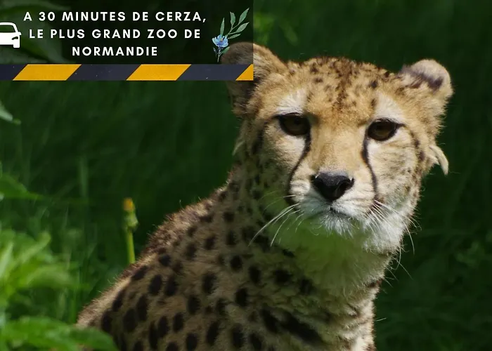 Indus - Jardin, Netflix Et Parking - Le Manoir Aux Pommes Apartment