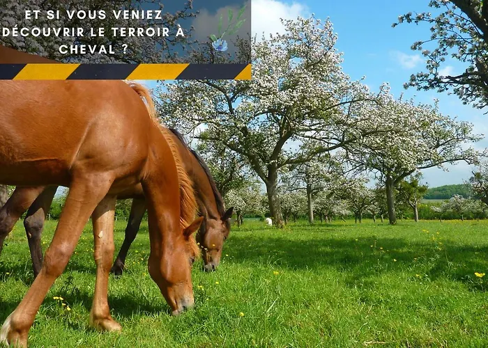 דירה Indus - Jardin, Netflix Et Parking - Le Manoir Aux Pommes