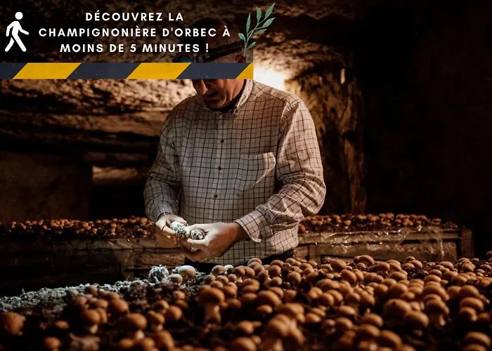 Indus - Jardin, Netflix Et Parking - Le Manoir Aux Pommes Apartment Orbec